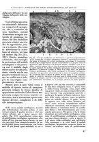 giornale/RML0015994/1939/unico/00000059