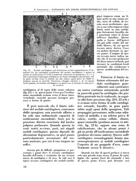 La chirurgia degli organi di movimento