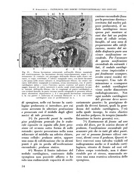 La chirurgia degli organi di movimento