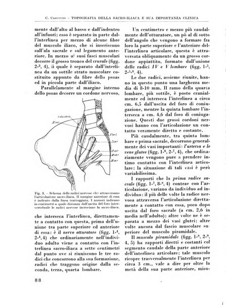 La chirurgia degli organi di movimento