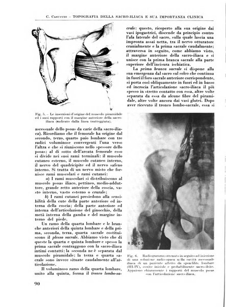 La chirurgia degli organi di movimento