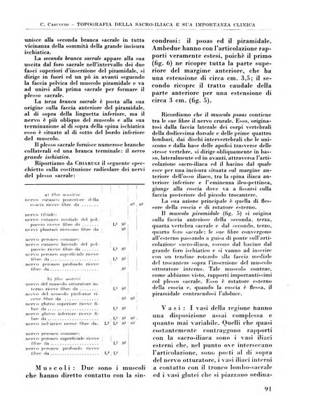 La chirurgia degli organi di movimento