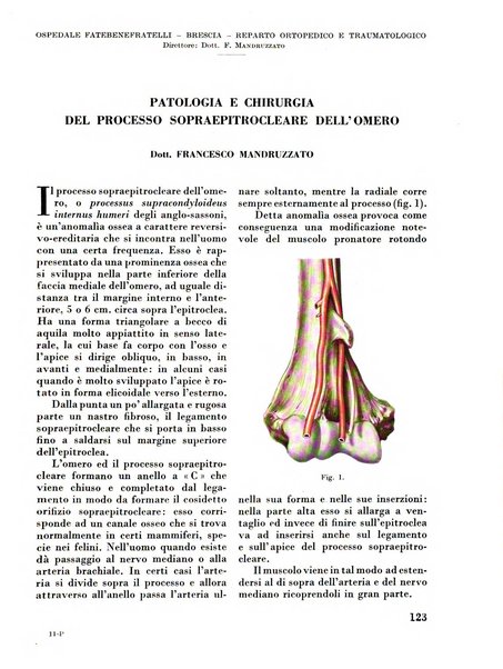 La chirurgia degli organi di movimento