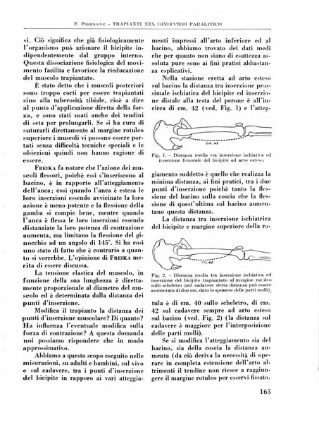 La chirurgia degli organi di movimento