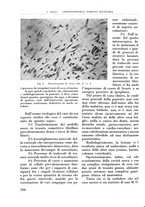 giornale/RML0015994/1939/unico/00000226