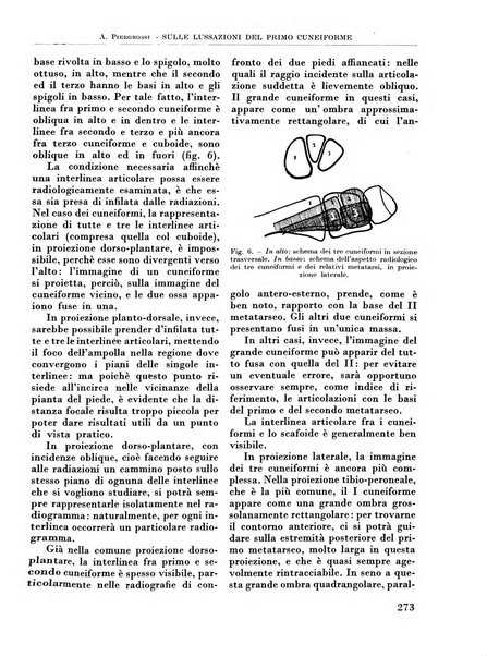 La chirurgia degli organi di movimento