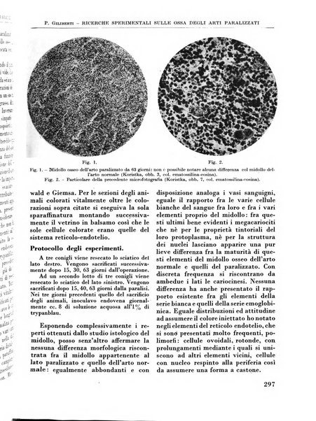 La chirurgia degli organi di movimento