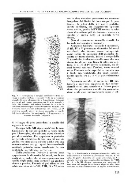 La chirurgia degli organi di movimento