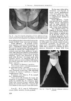 giornale/RML0015994/1939/unico/00000350