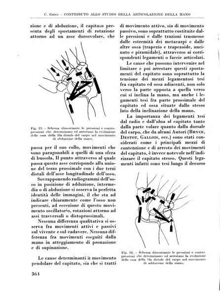 La chirurgia degli organi di movimento