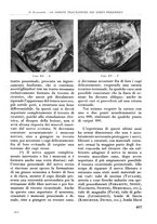 giornale/RML0015994/1939/unico/00000435