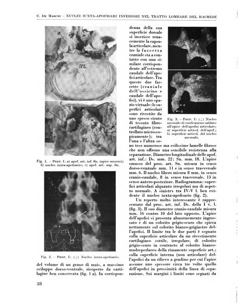 La chirurgia degli organi di movimento