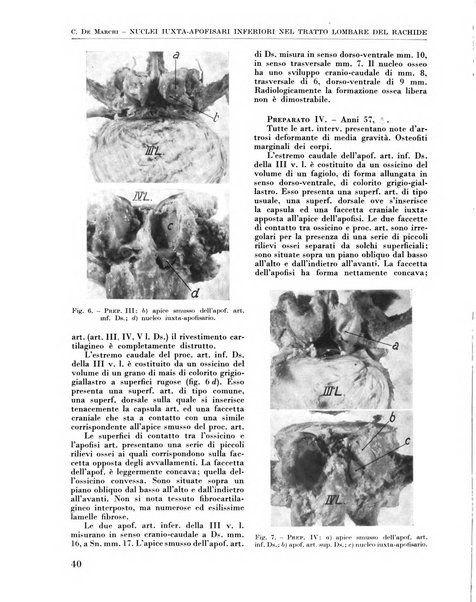 La chirurgia degli organi di movimento