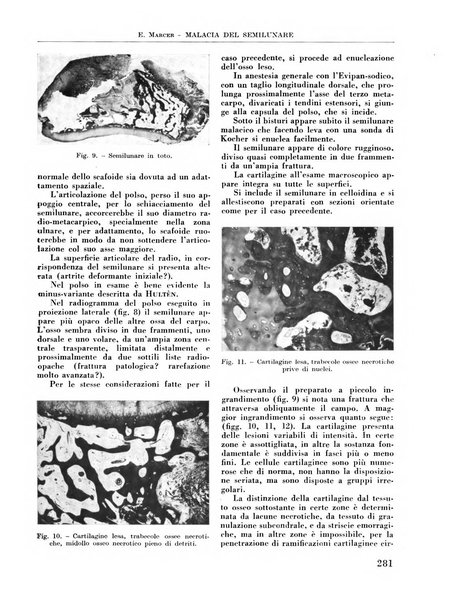 La chirurgia degli organi di movimento