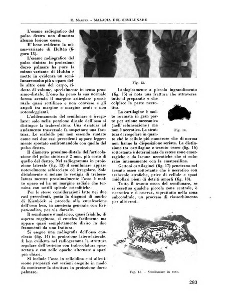 La chirurgia degli organi di movimento