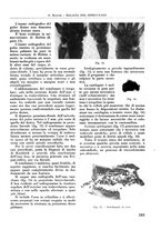 giornale/RML0015994/1940/V.25/00000299