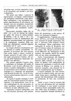 giornale/RML0015994/1940/V.25/00000301