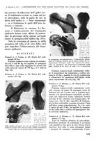 giornale/RML0015994/1940/V.25/00000355