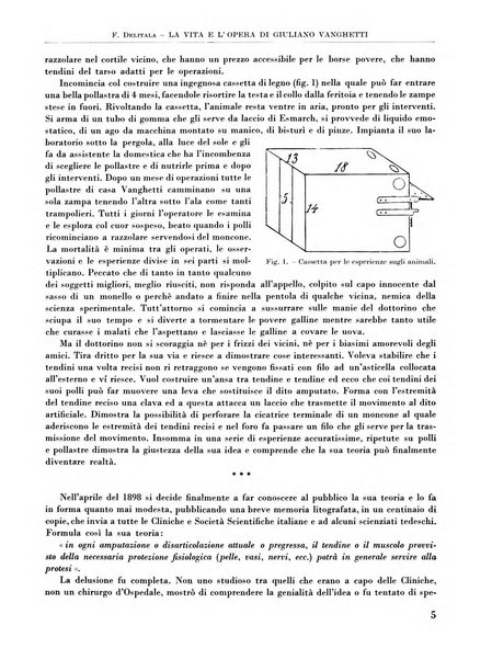 La chirurgia degli organi di movimento