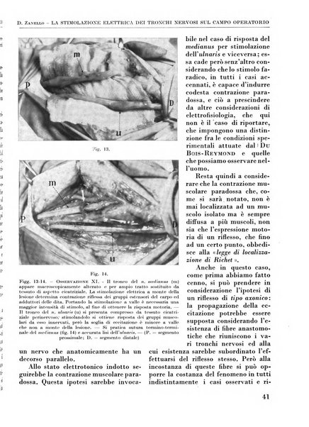 La chirurgia degli organi di movimento