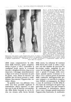 giornale/RML0015994/1942/V.28/00000131