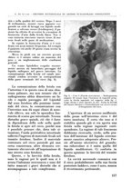 giornale/RML0015994/1942/V.28/00000175