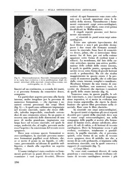 La chirurgia degli organi di movimento