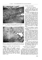 giornale/RML0015994/1942/V.28/00000345