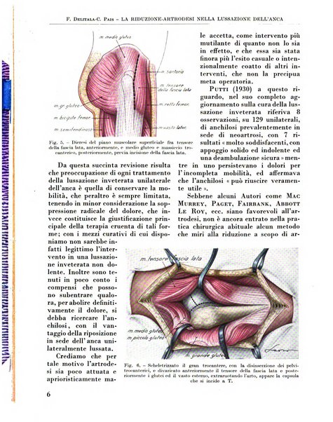 La chirurgia degli organi di movimento