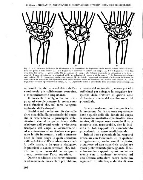 La chirurgia degli organi di movimento