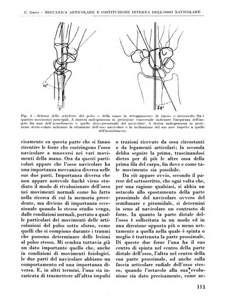 La chirurgia degli organi di movimento