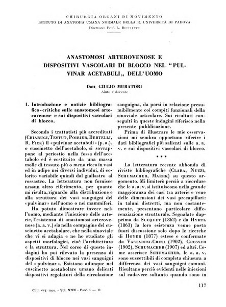 La chirurgia degli organi di movimento