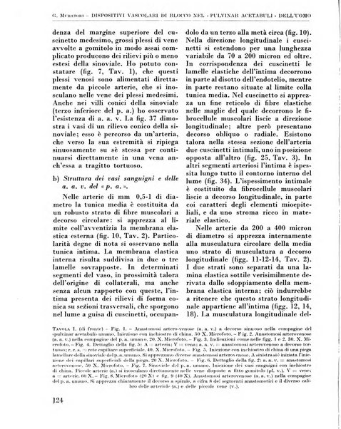 La chirurgia degli organi di movimento