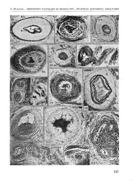 La chirurgia degli organi di movimento