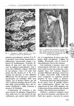 giornale/RML0015994/1946/unico/00000149
