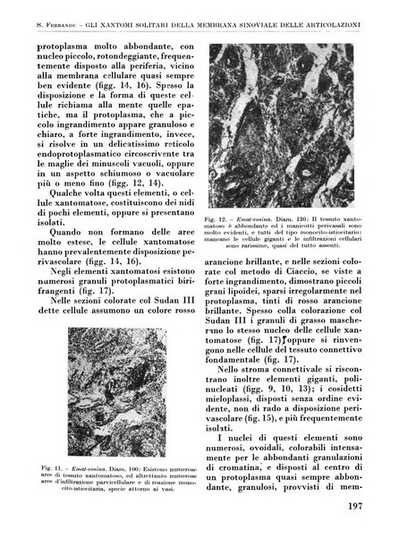 La chirurgia degli organi di movimento