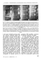 giornale/RML0015994/1946/unico/00000243