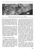 giornale/RML0015994/1946/unico/00000285