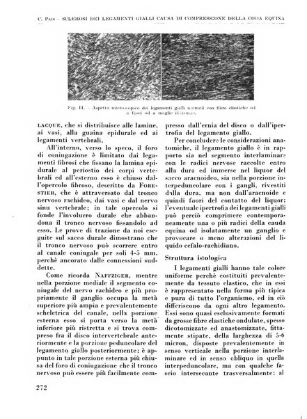 La chirurgia degli organi di movimento