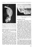 giornale/RML0015994/1946/unico/00000397