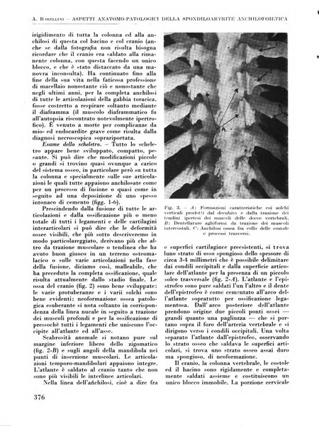 La chirurgia degli organi di movimento