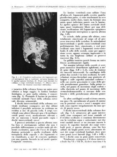 La chirurgia degli organi di movimento