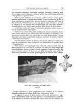 giornale/RML0017215/1943/unico/00000093