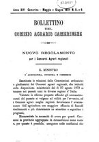 giornale/RML0017585/1880-1881/unico/00000191