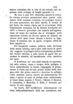 giornale/RML0017585/1880-1881/unico/00000259