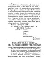 giornale/RML0017585/1882-1883/unico/00000040