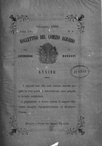 giornale/RML0017676/1881/unico/00000061