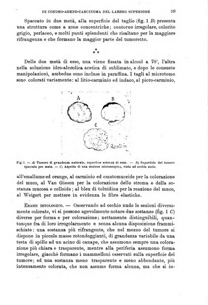 Giornale di medicina militare