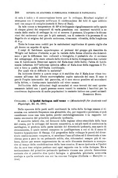 Giornale di medicina militare