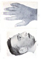 giornale/RML0017740/1914/unico/00000395